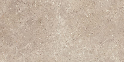marazzi mystone gris fleury mlgz.jpg