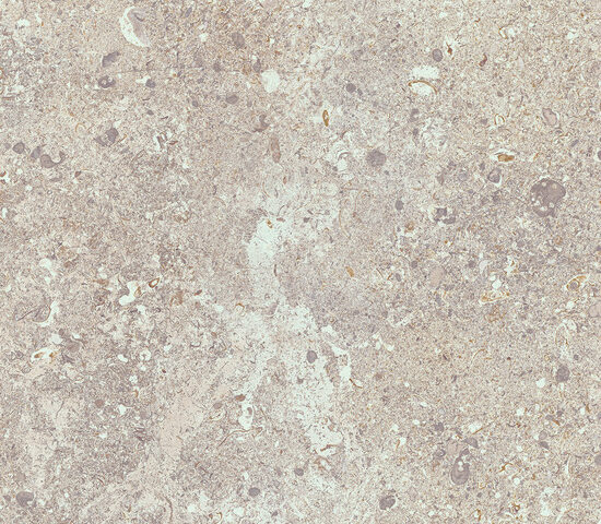 marazzi mystone gris fleury mlh3.jpg